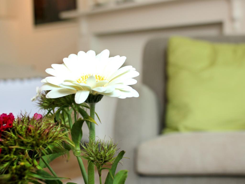 Alphabet - Luxury Guesthouse&art Gallery Couette-café